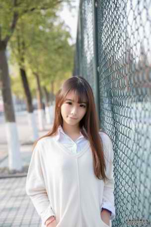 辛巴狮子王